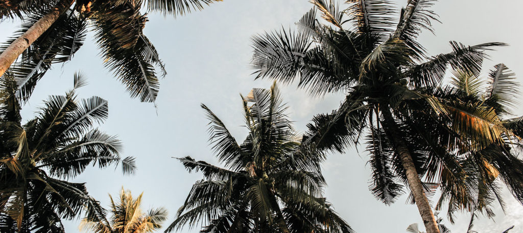 general-banner